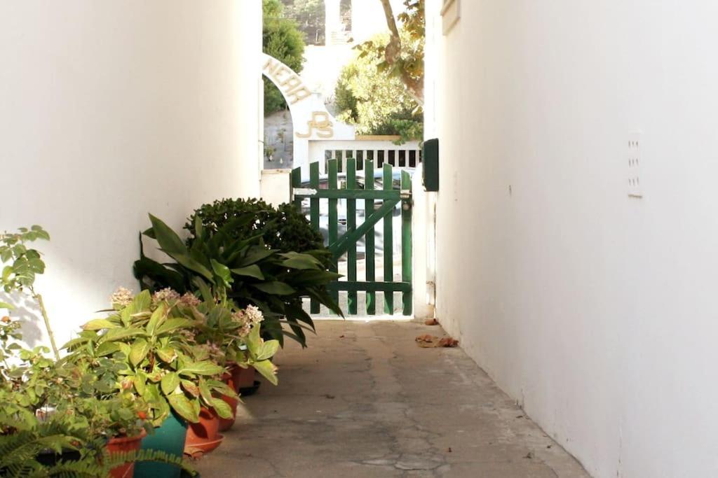 The Green Gate Patio House Nazaré Buitenkant foto